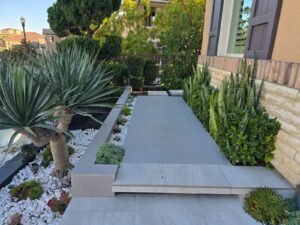 WhatsApp Image 2026-01-16 at 5.41.55 AM (1)