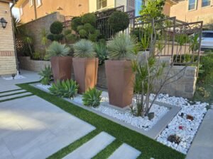 WhatsApp Image 2026-01-16 at 5.41.55 AM (2)