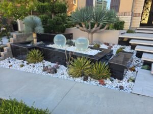 WhatsApp Image 2026-01-16 at 5.41.55 AM